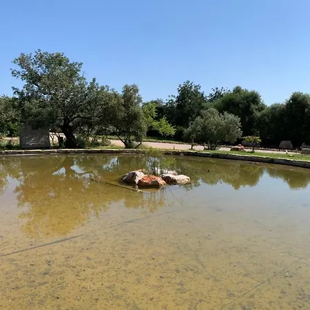 Casa di campagna Casa Branca Tavira