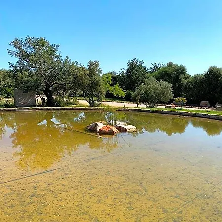 בית כפרי Casa Branca