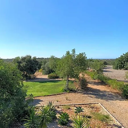 Casa Branca * تافيرا