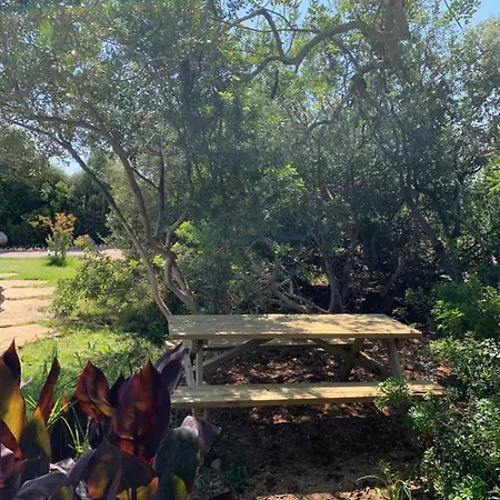 Casa Branca Kır Evi Tavira